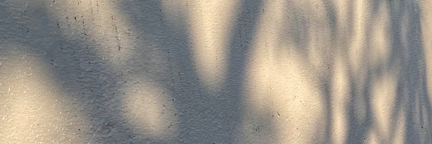 chiyoconnu's profile banner image