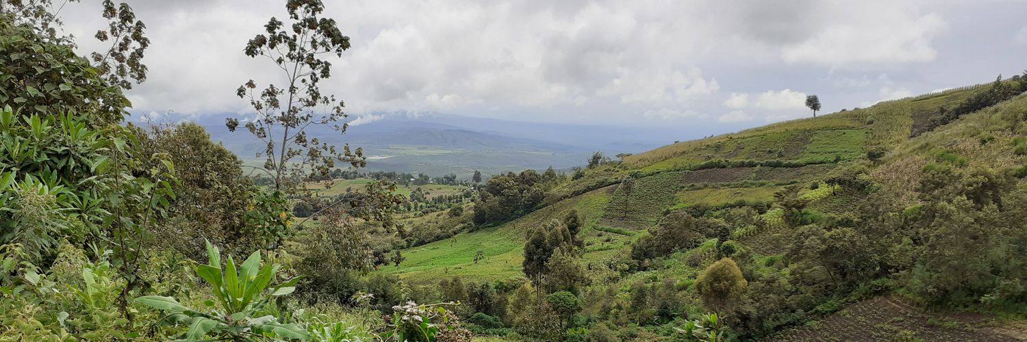 MossMoseh's profile banner image