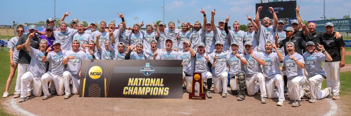 UWW Baseball's banner