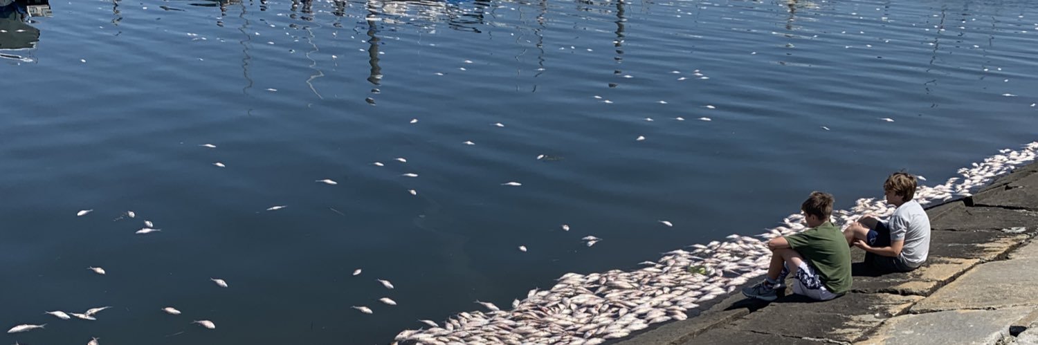 Piscesbabbyy's profile banner image