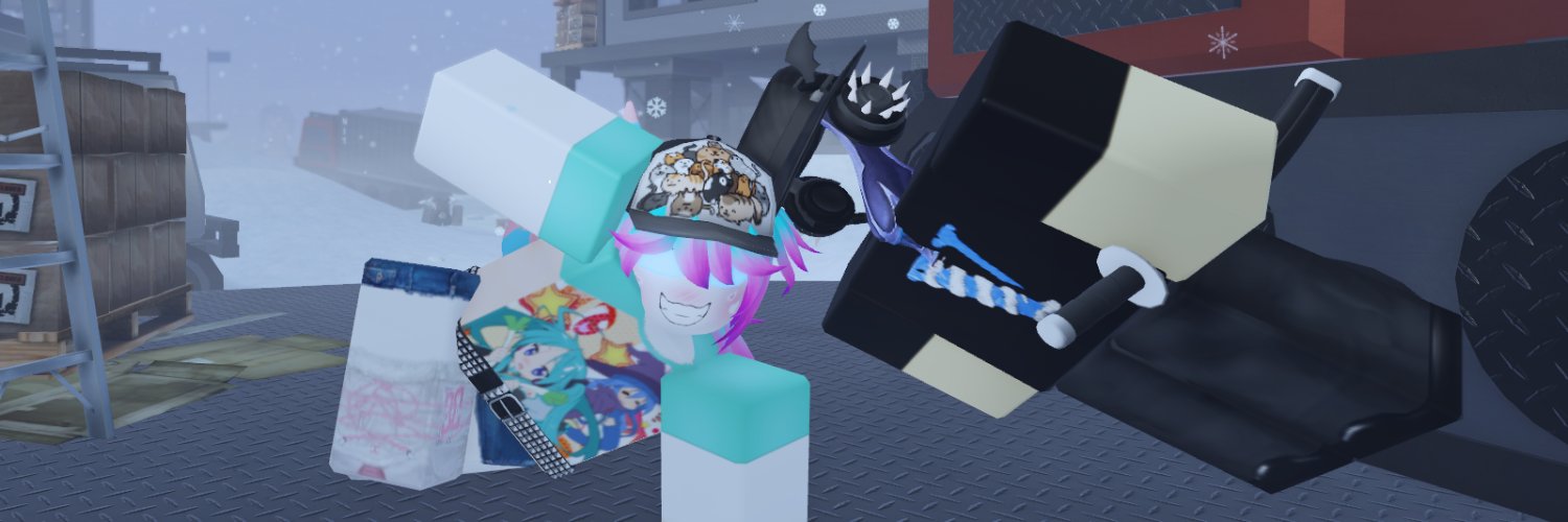 zinus banner