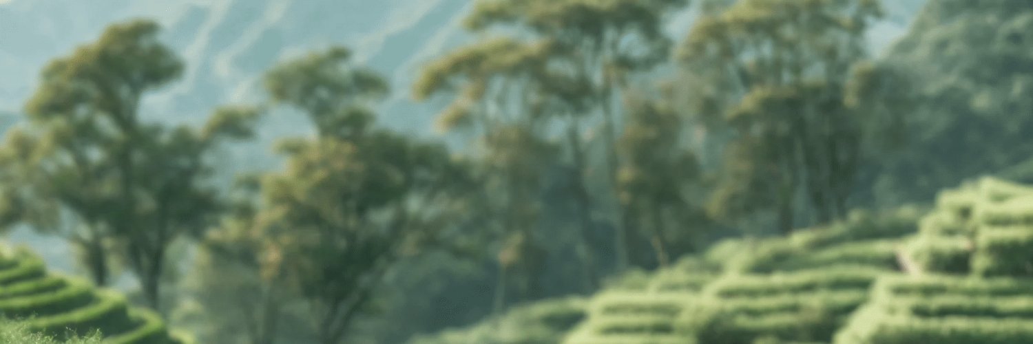 Burhan banner