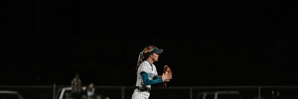 ANsoftball19 Profile Banner