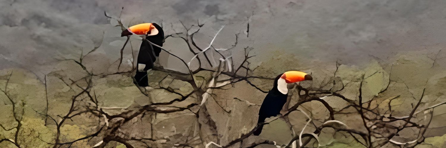 carranca.eth ❤️ Memecoin banner