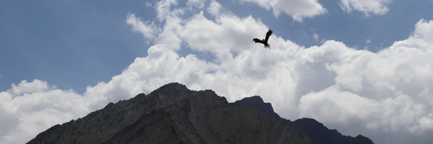 Gustavo Loera banner