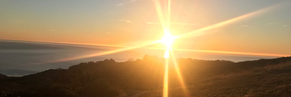 tracyleejones's profile banner image