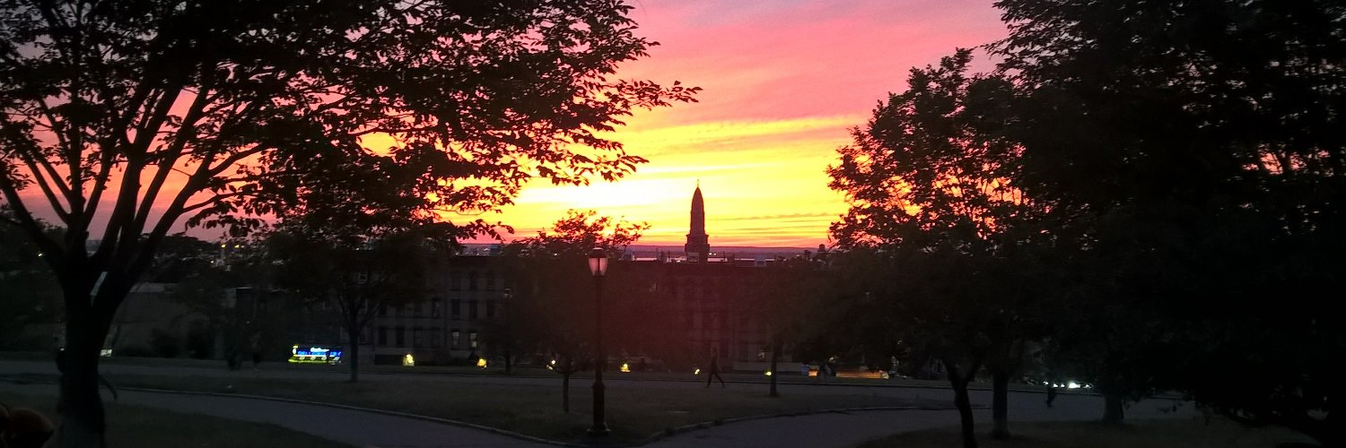 Assemblymember Marcela Mitaynes banner