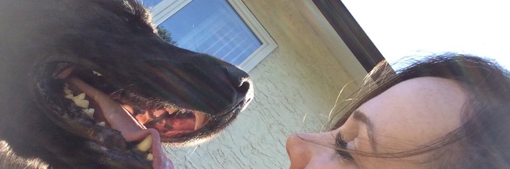tprice25's profile banner image