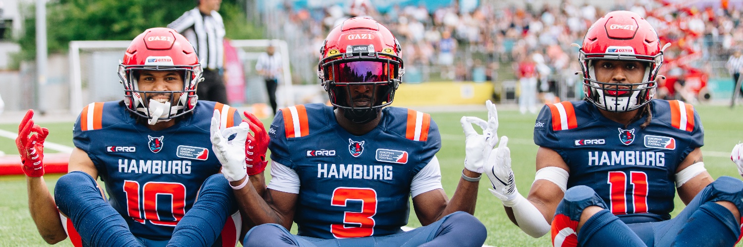 Hamburg Sea Devils banner