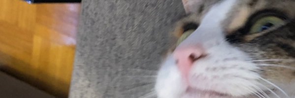 BloaterBoat Profile Banner