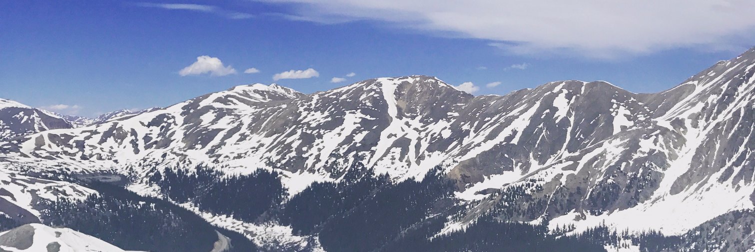 jesshedden's profile banner image