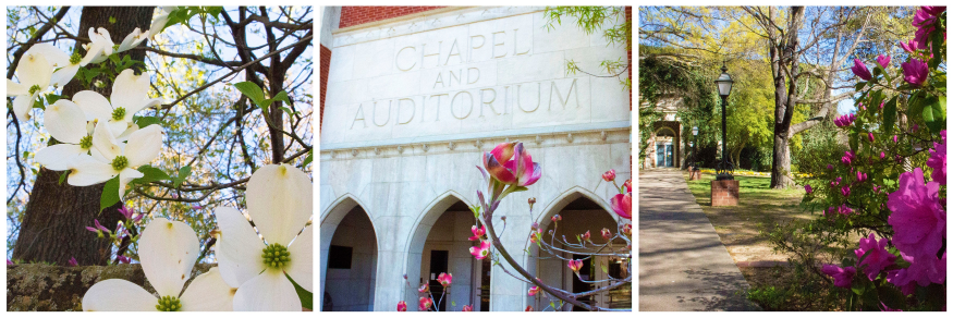 Hendrix College banner