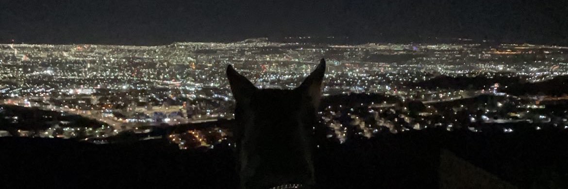 0xCECMFF's profile banner image