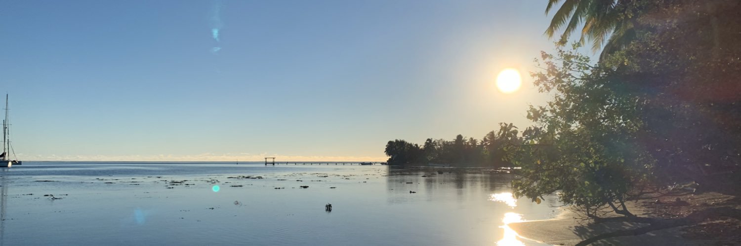 Lluís Ferrer banner