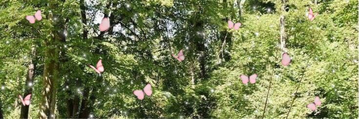 SORIE LOYALS banner