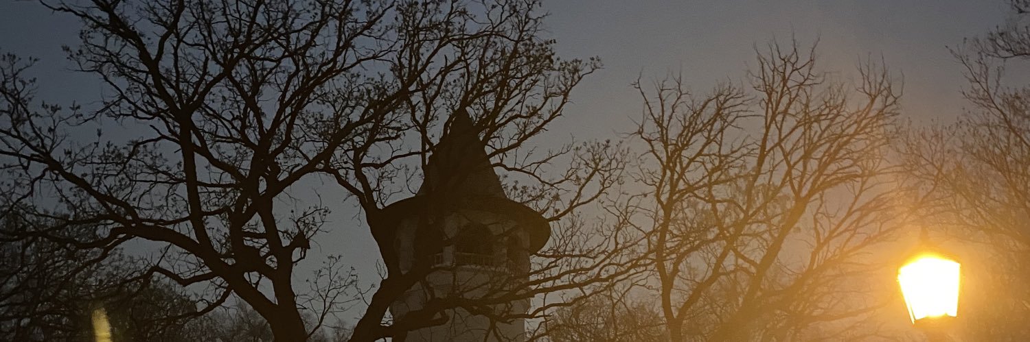 SCSlattdon's profile banner image