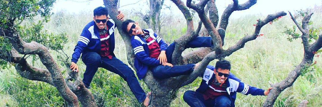 harismwd's profile banner image