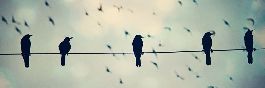 etchanchu1's profile banner image