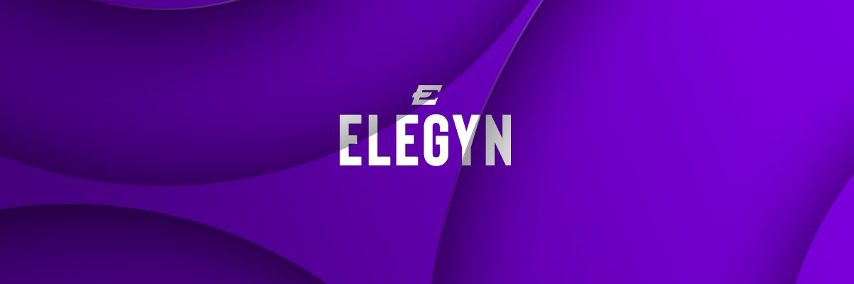 Elegyn • ֊ • banner