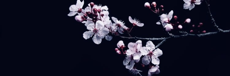 keyana__moore's profile banner image