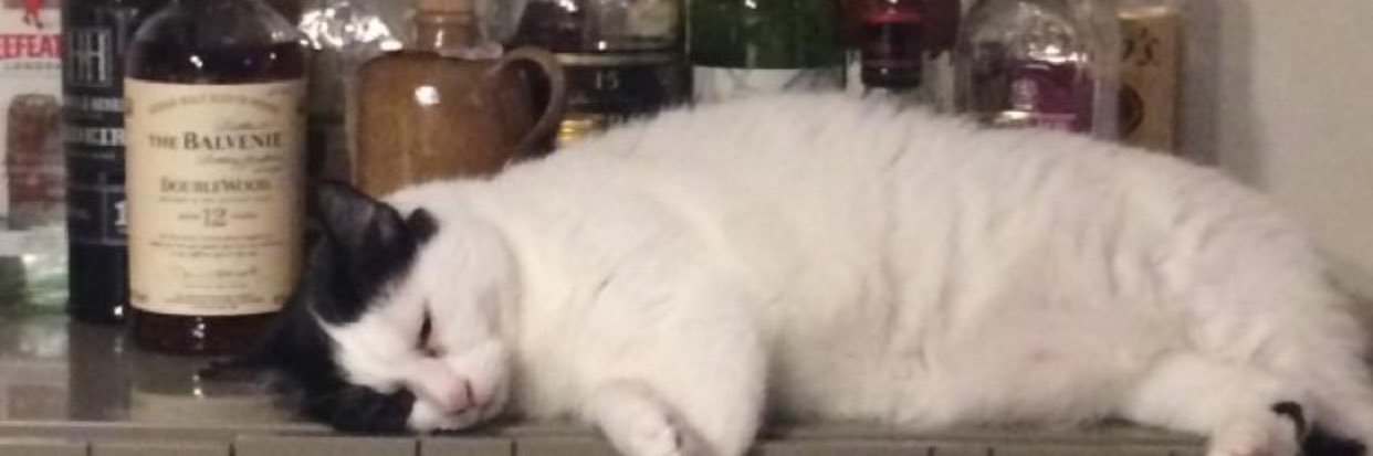 PDFHOOD50's profile banner image