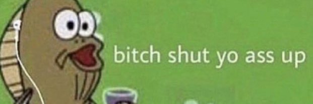 Girthy Orange 🍊 banner