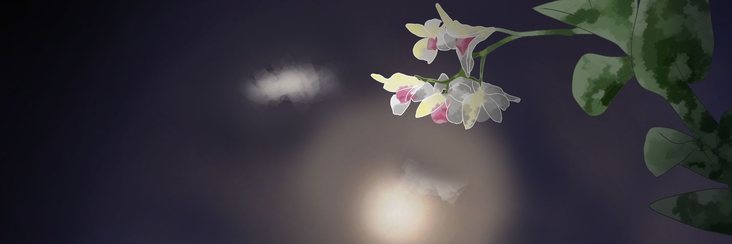 UnknownAoko's profile banner image