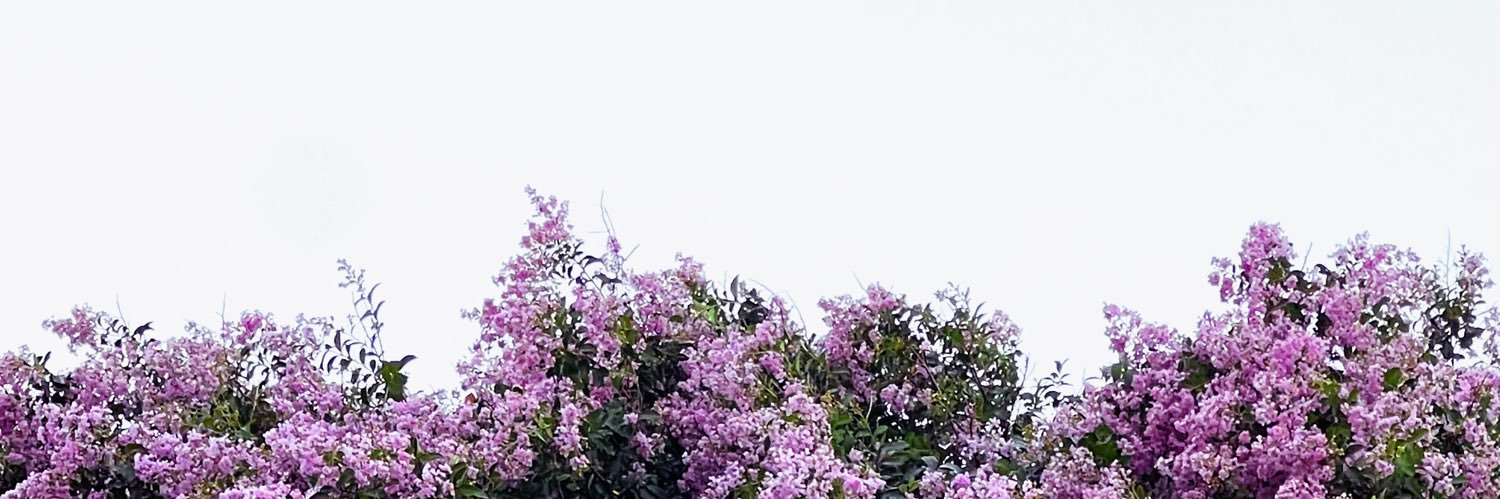 Lowkea 🌌's banner