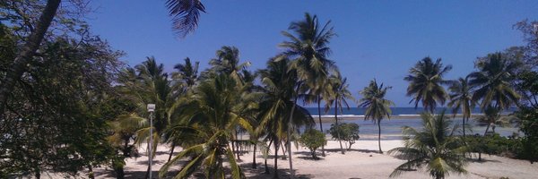 Snngugi Profile Banner