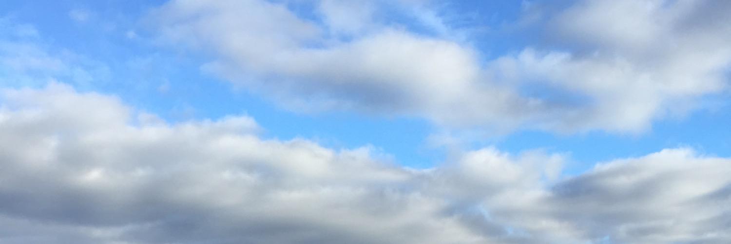 Colleen Herman banner