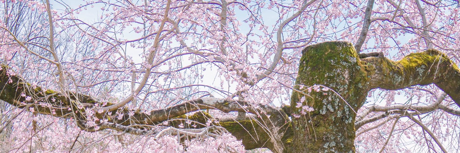 とおま@4/11ラブスピ山田❸ banner