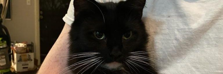 ReeseMorin's profile banner image