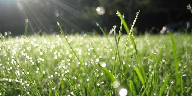 MuhamadRizaW's profile banner image