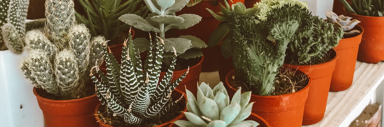 emmaasmuain's profile banner image