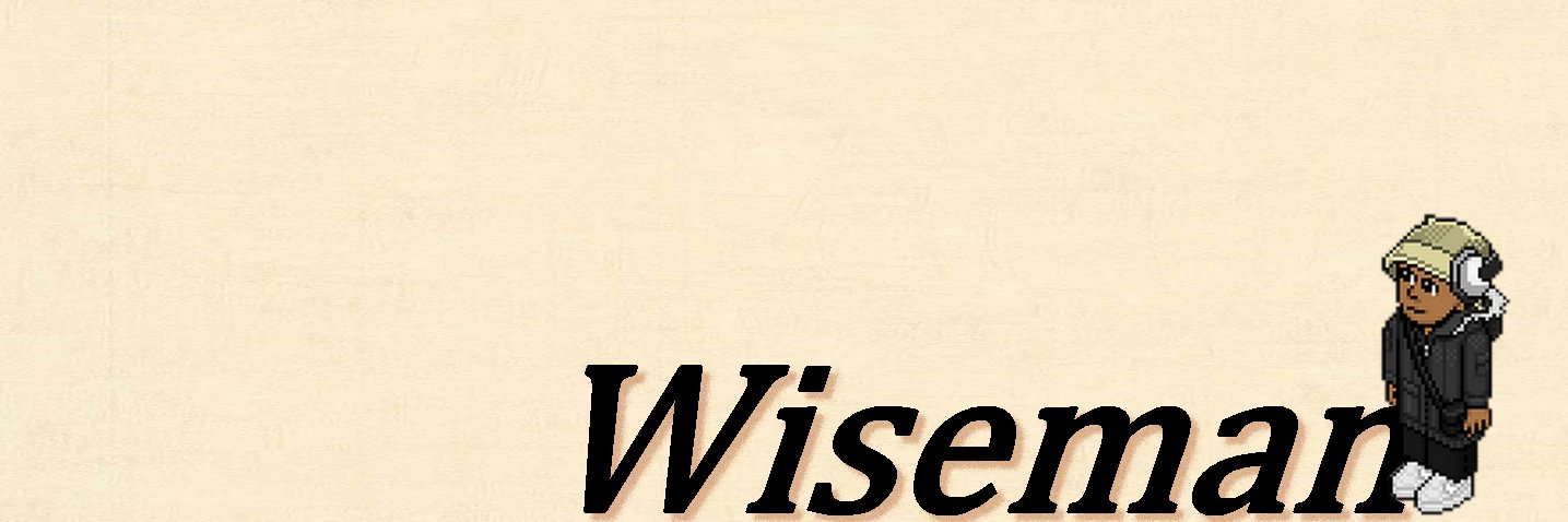 Wiseman City banner