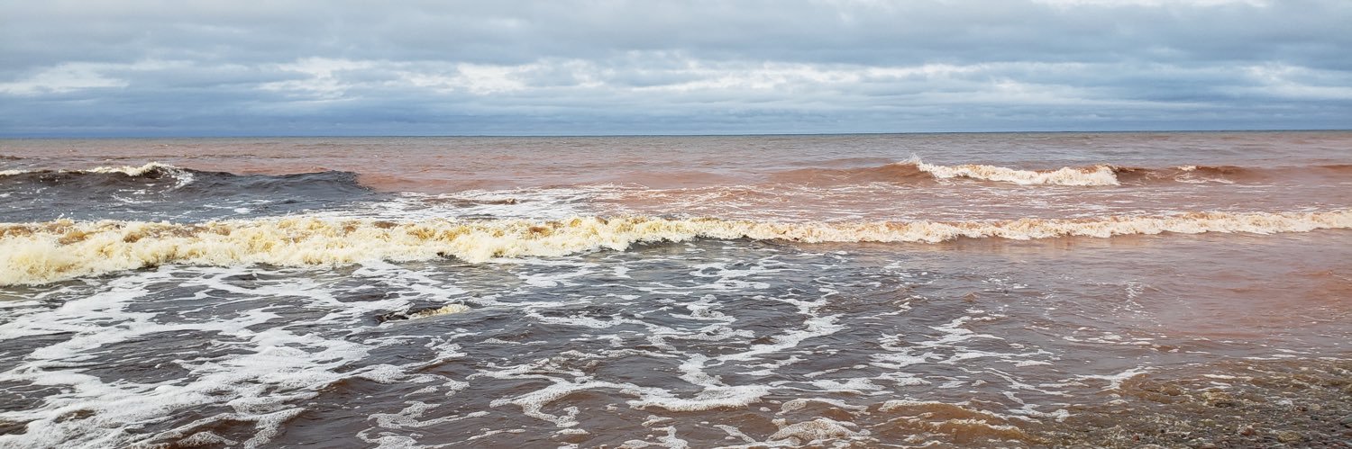 Michelle Stock banner