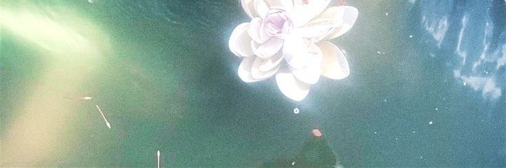 ddeunu's profile banner image