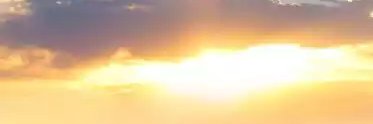 5DME81's banner