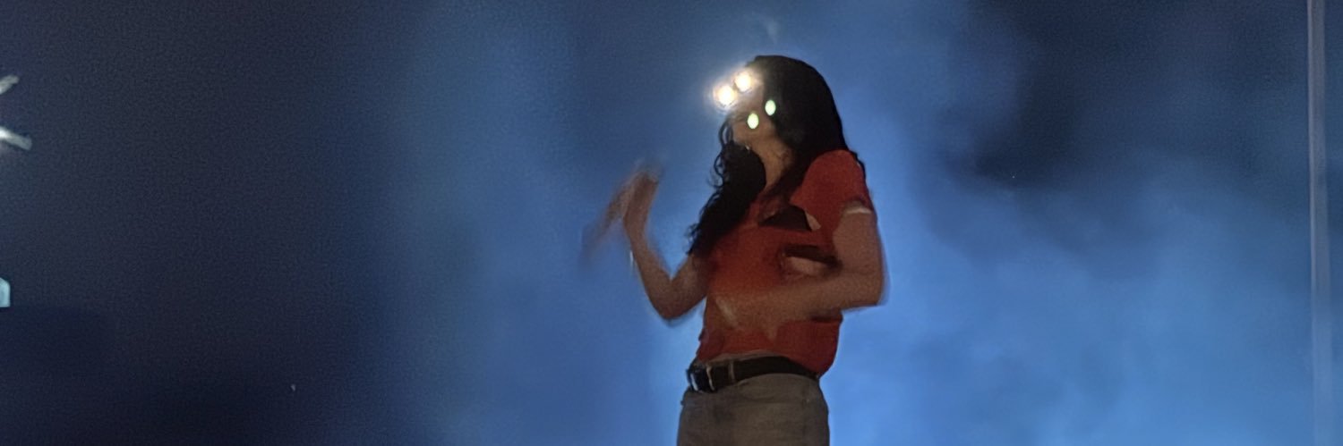 lorde stan account banner