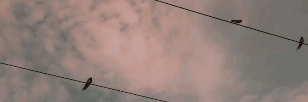 saniasetiani_'s profile banner image