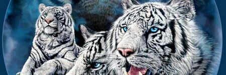 SpecSamTraynor's profile banner image