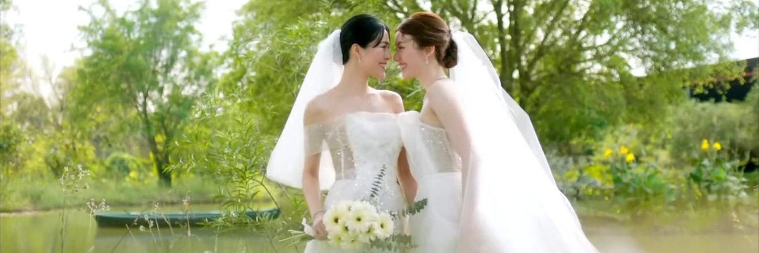 Aster Le ❤️🌵🍳 banner