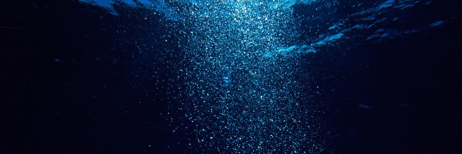 Anastasia Borodina banner