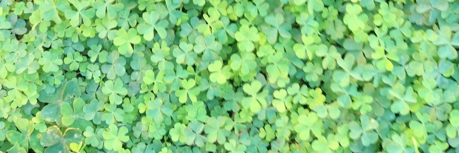J4ntonioLP's profile banner image