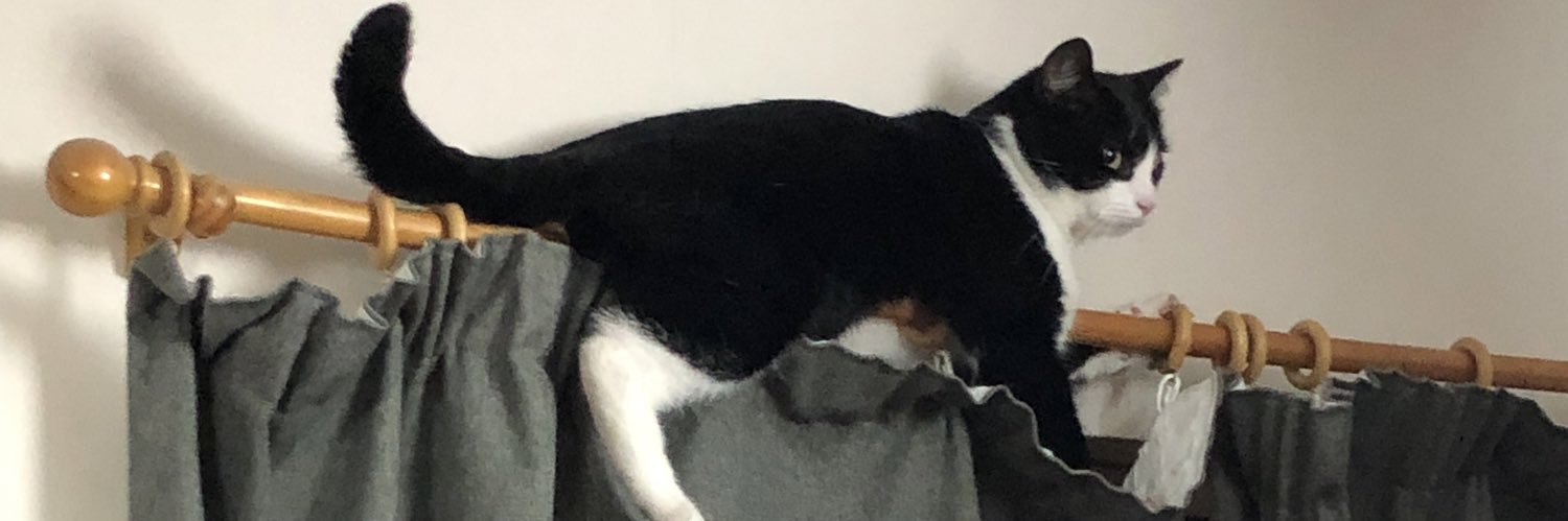 mootthing's profile banner image