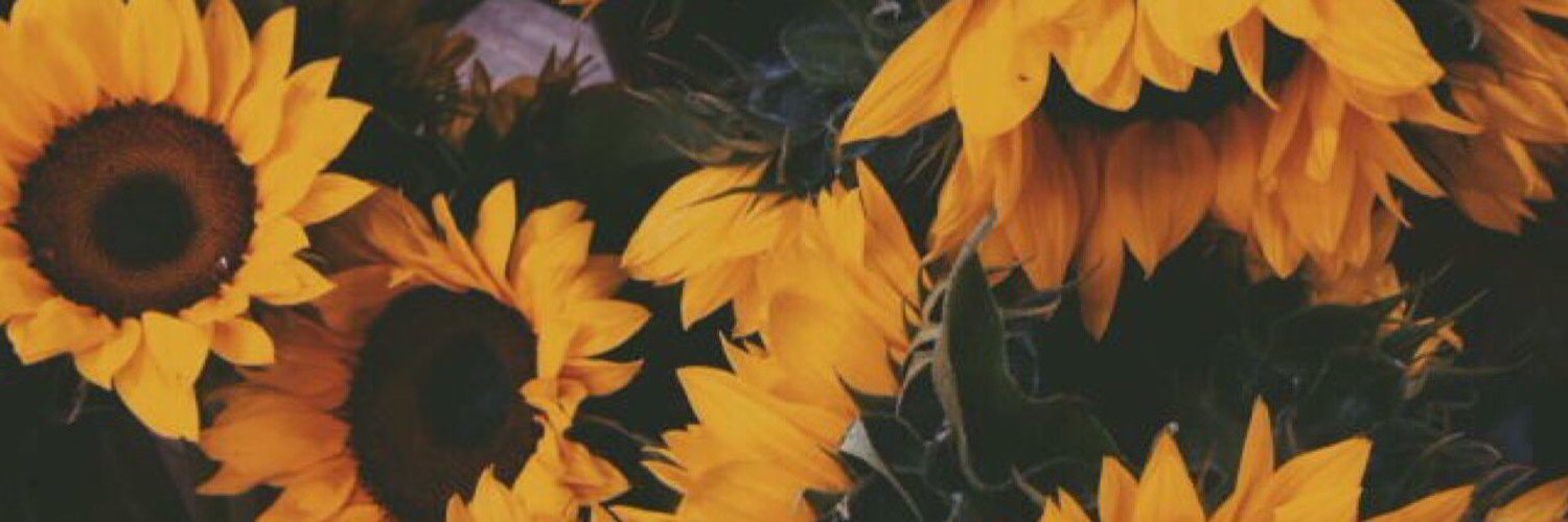 kidcudette's profile banner image
