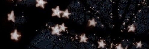 mel⋆˚⟡˖ ࣪ 🍂 banner