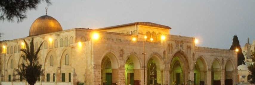 AlMasry12290's profile banner image