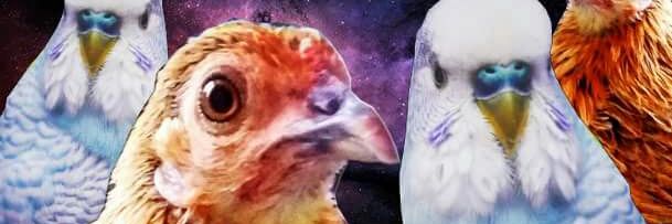Tu sicaria ✨️ banner