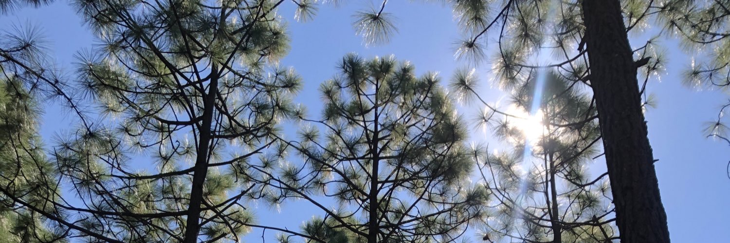 andy___monroe's profile banner image